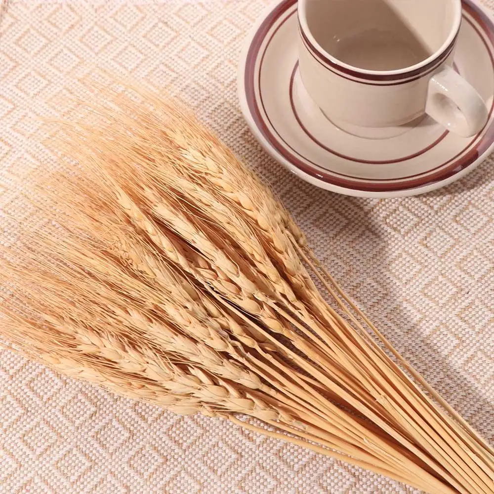 50 adet Yapay Çiçek Doğal Kuru - Wedding Ceremony Supply incelemesi ve fiyatı